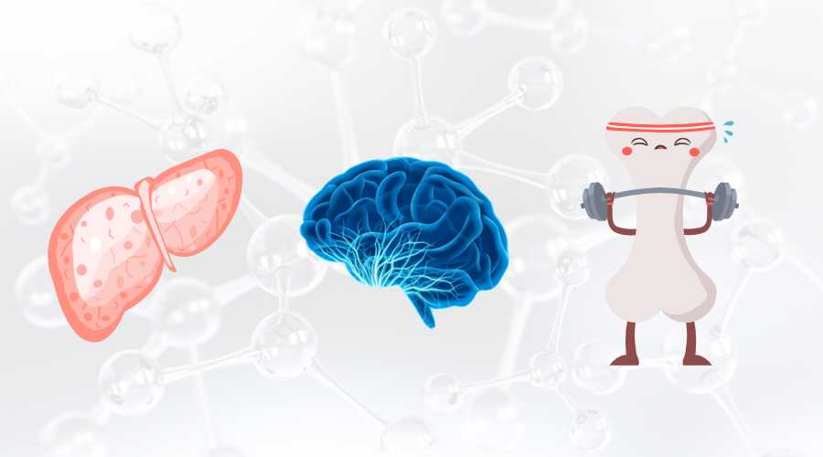 SAM-e 對身體有什么作用？