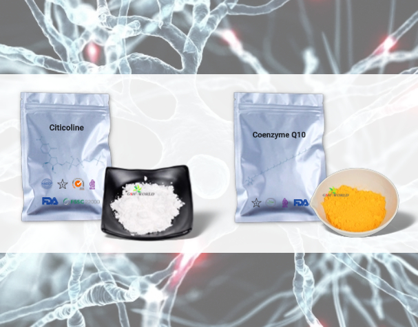 胞磷膽堿與輔酶Q10的神經(jīng)保護機制
