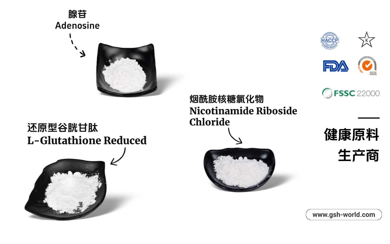 古特生物 古特生物