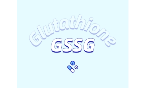 什么是抗氧化劑？