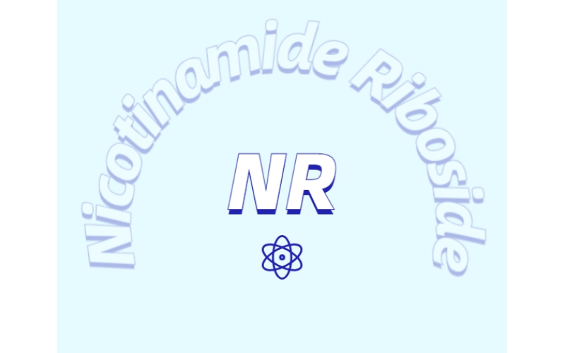 煙酰胺核糖補充劑助力體重管理