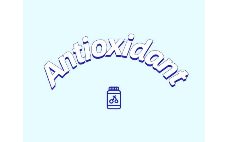 抗氧化劑與功能性食品如何守護健康？